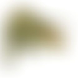 Información sobre el Carcharodontosaurus