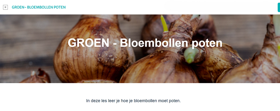GROEN - Bloembollen poten