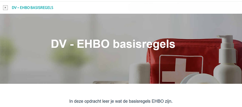 DV - EHBO basisregels