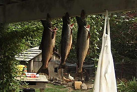 fish.jpg