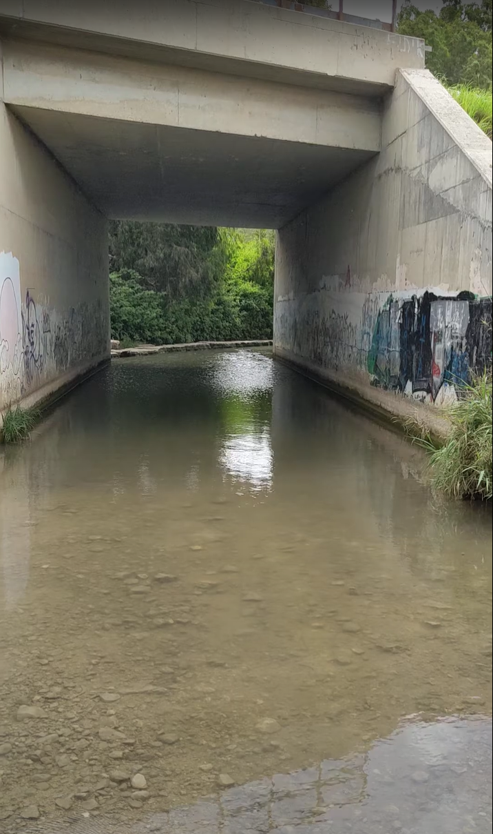 After the mill, is a stream.