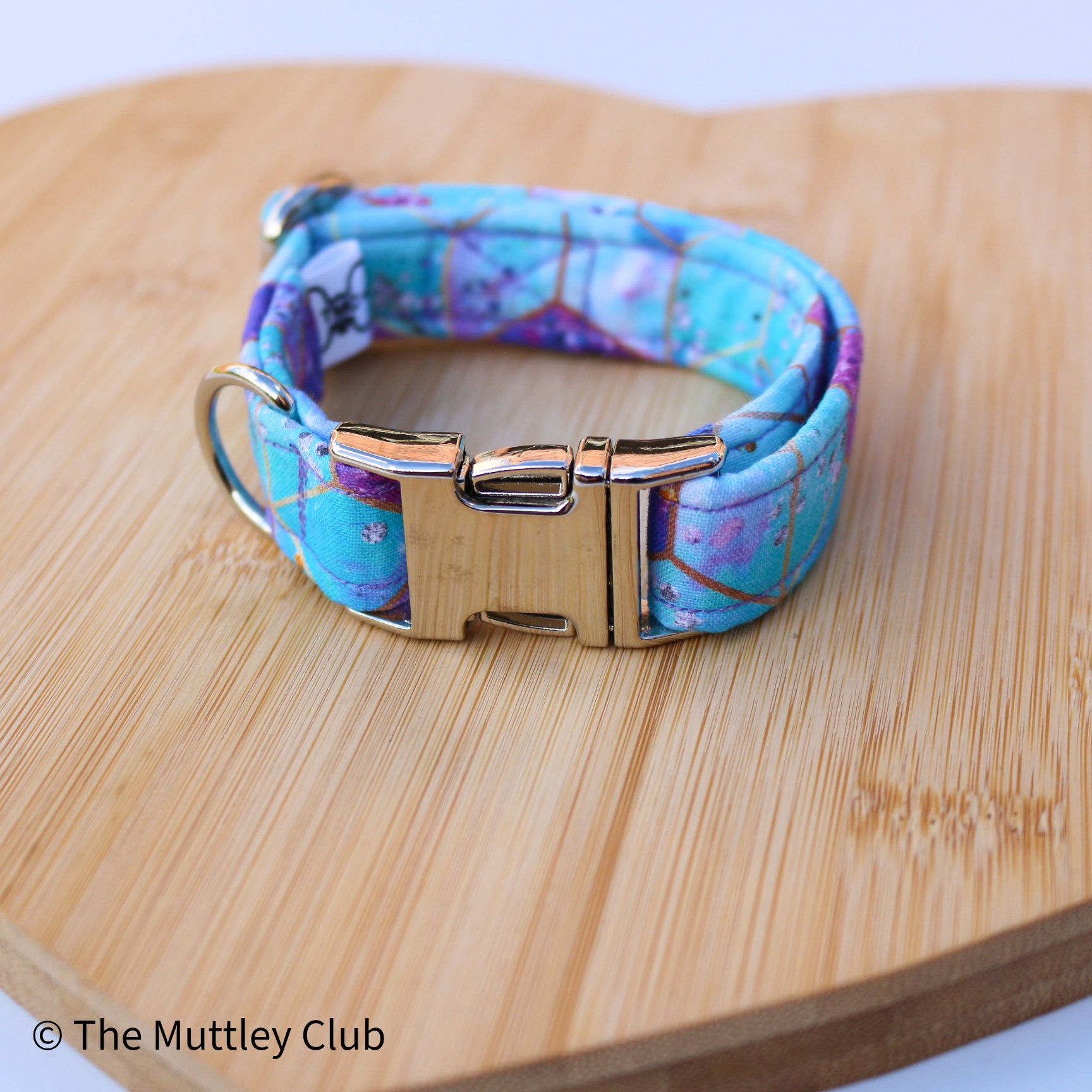 Aurora Adjustable Collar