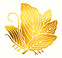 synergies d'huiles essentielles