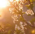 épanouissement à tout âge