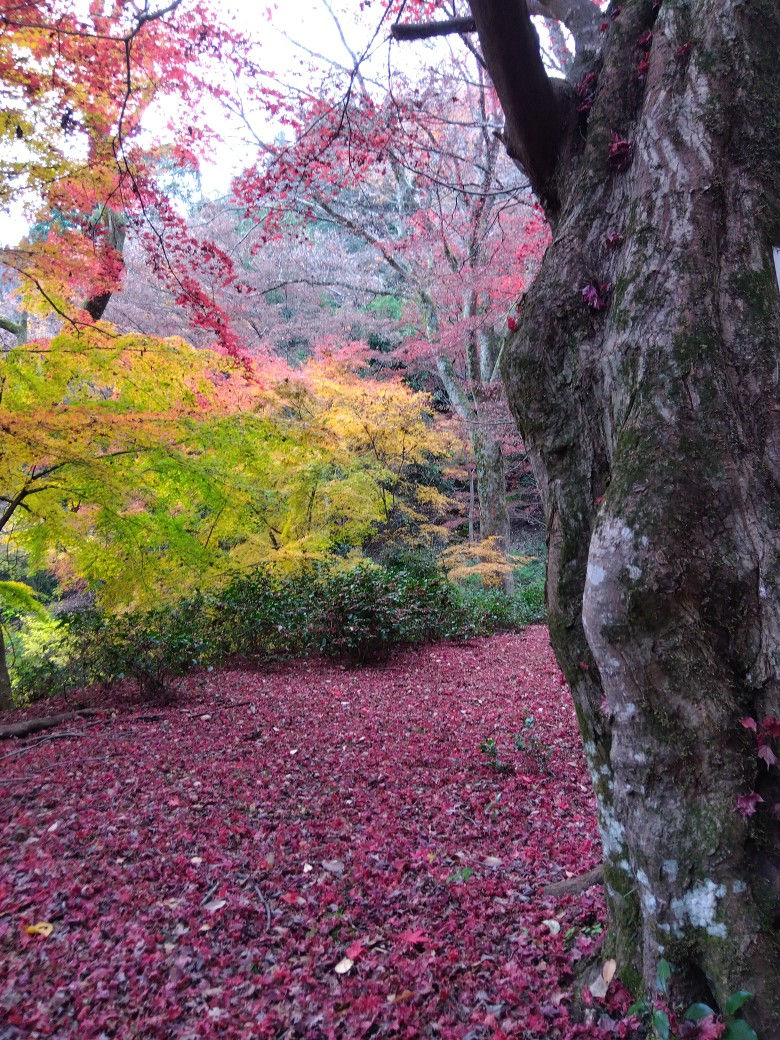 「2025年 65歳以上に特化した国内10大ニュース」と「個人的番外2編」