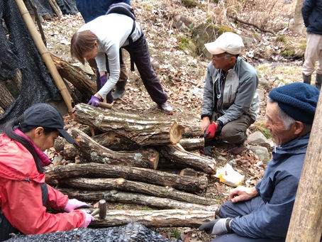2026年は部活がなくなる年です!