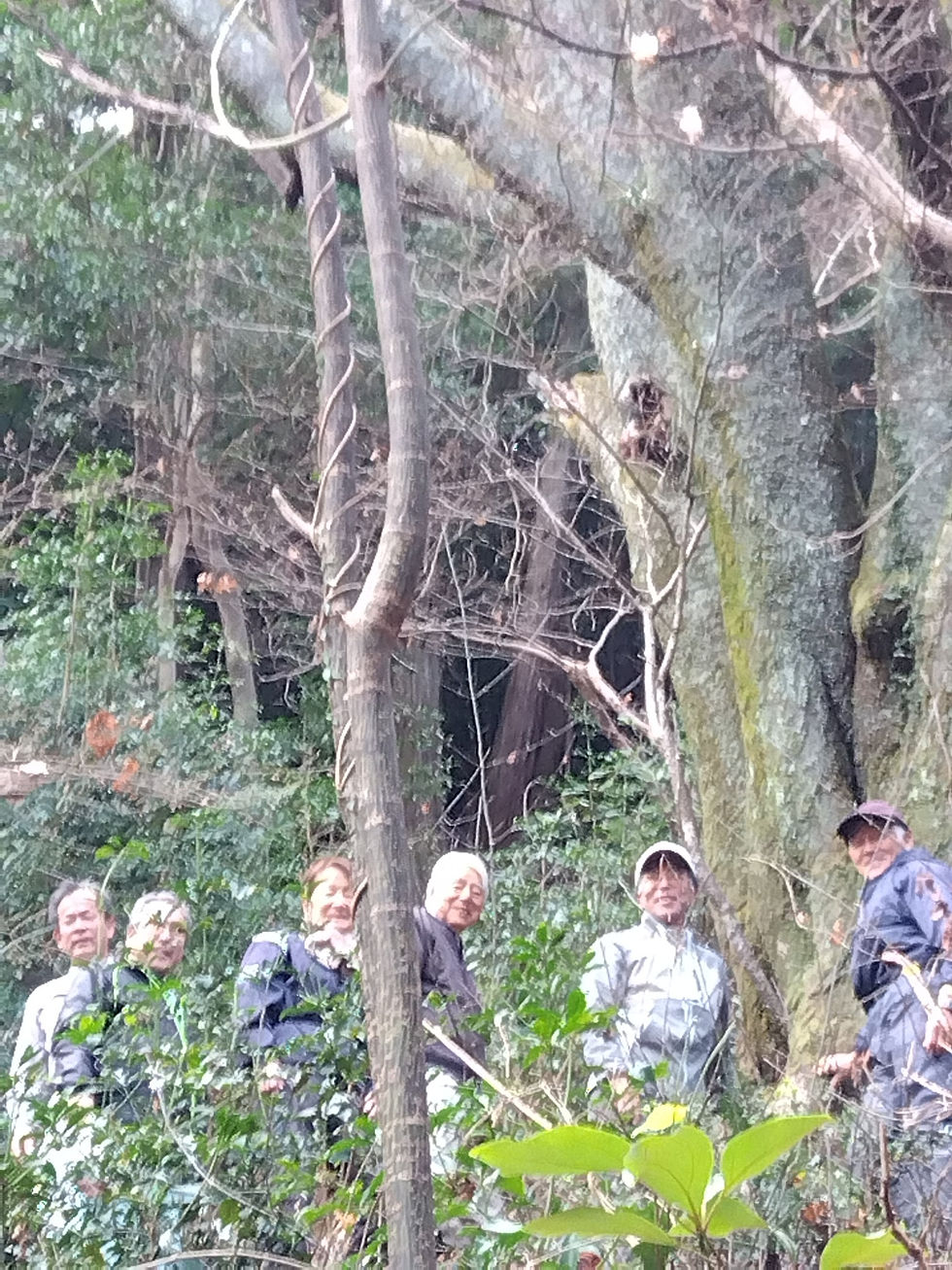 謹賀新年「人生が退屈だ、どうすればいいですか？」