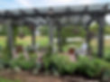 Heritage Herbs Pergola