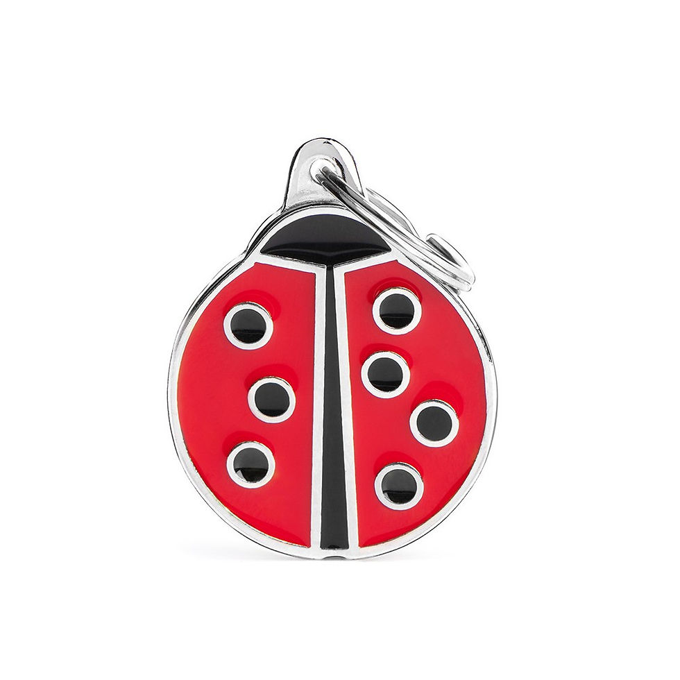 Miniatura: LARGE LADYBUG