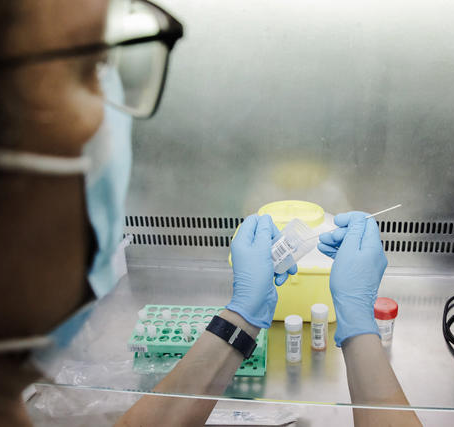 Más de mil casos de viruela del mono notificados a la OMS