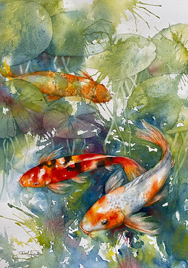 Koi.jpg