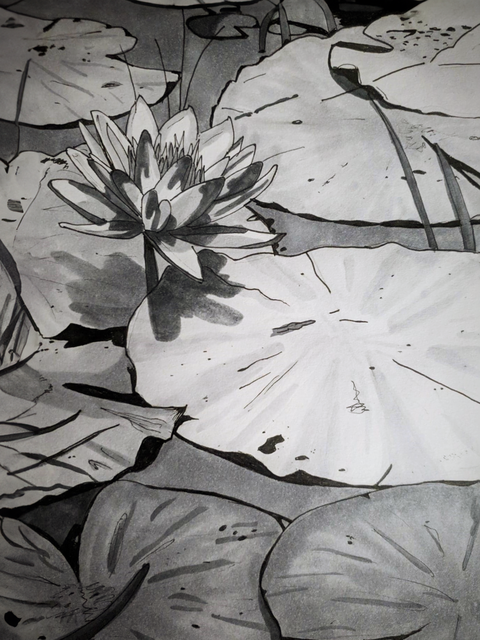 Lily Pond - Mixed Media