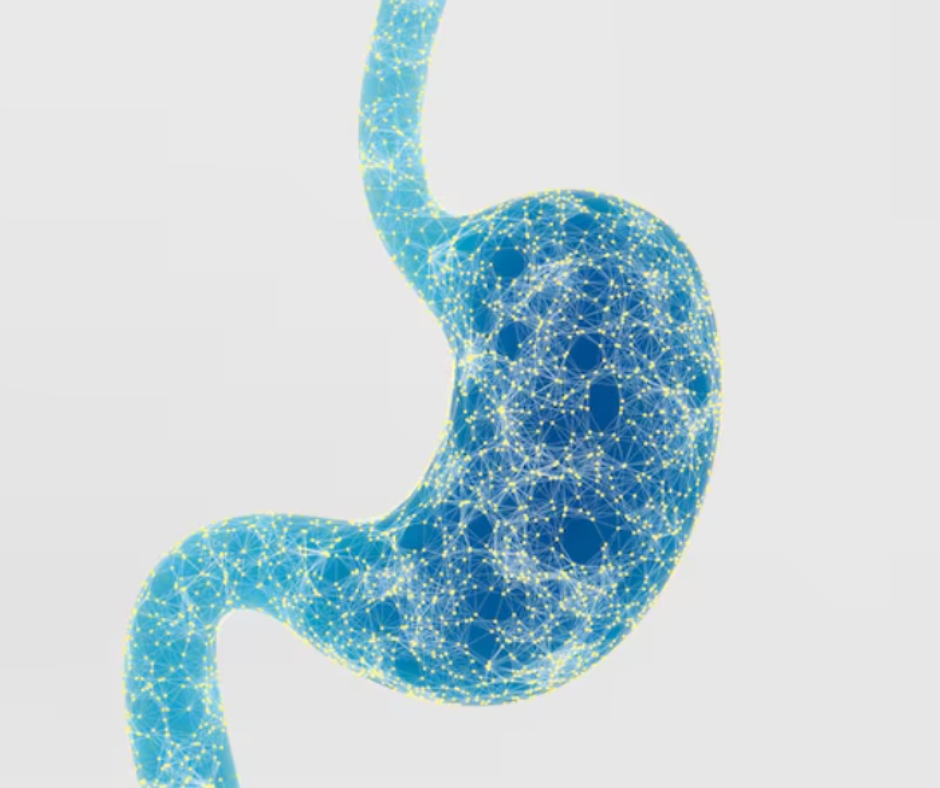 When Should You Consult a Gastro Physician for Stomach Problems?