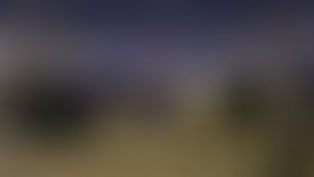 L’Albero di Betlemme