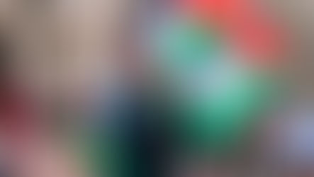 Un giovane manifestante parla al megafono durante un corteo. Indossa una maglia verde e nera; alle sue spalle sventolano grandi bandiere della Palestina sullo sfondo sfocato di una strada urbana.