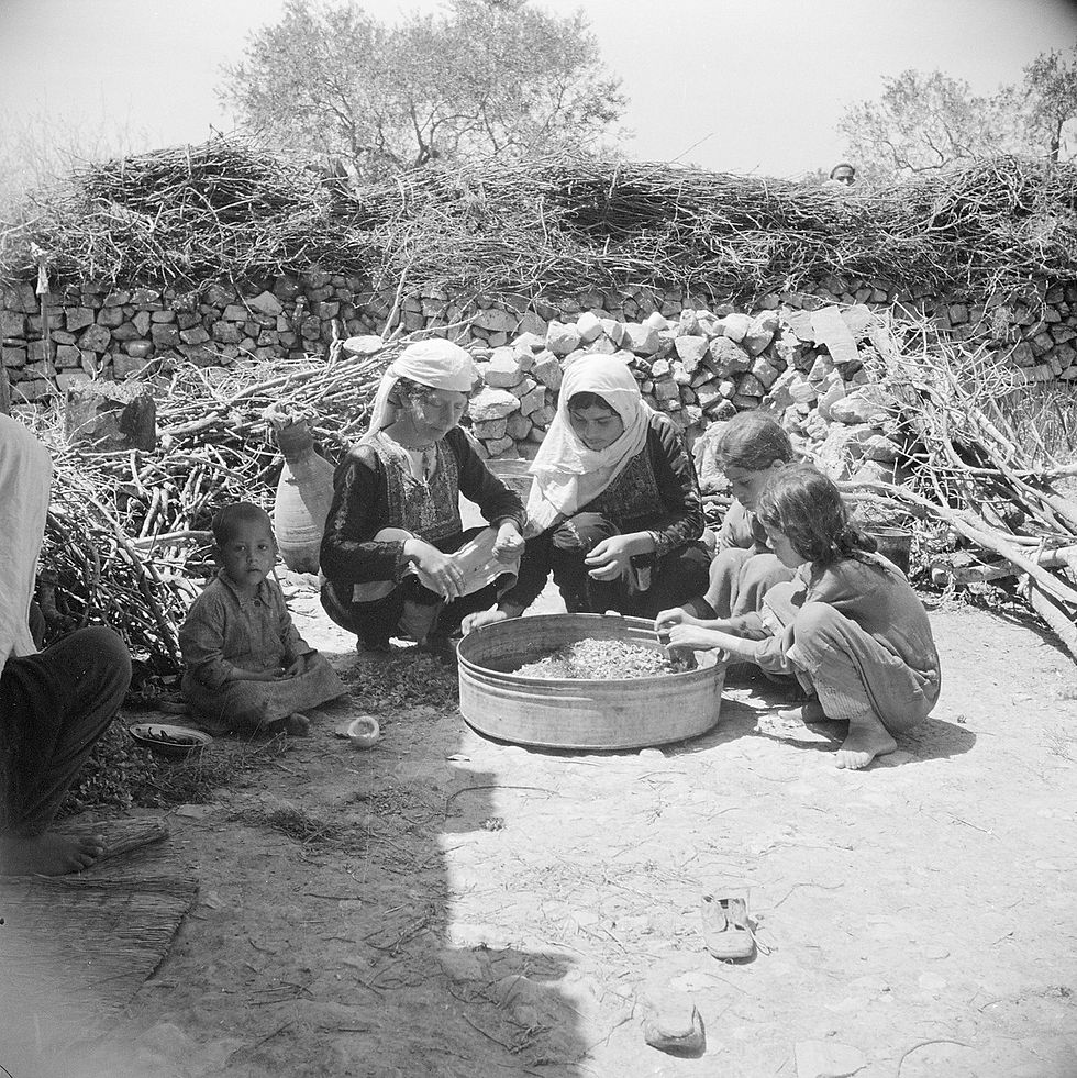 Willem van de Poll, CC0, via Wikimedia Commons