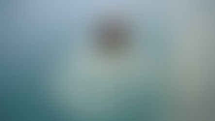 Gli influencer a Dubai fuggono dal fisco ma ora pretendono aiuti di stato quando scoppiano le bombe.