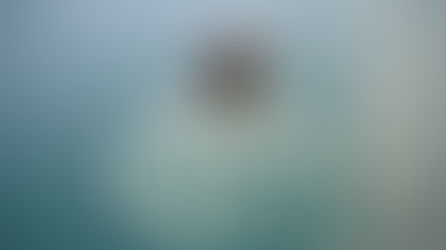 Gli influencer a Dubai fuggono dal fisco ma ora pretendono aiuti di stato quando scoppiano le bombe.