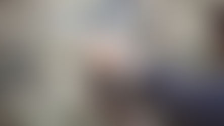 L’ulivo è più di un albero: è un custode del tempo, in Palestina e nel Cilento.