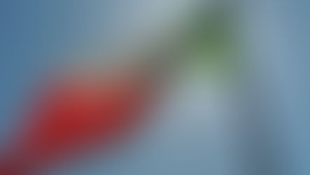 Bandiera tricolore italiana al vento