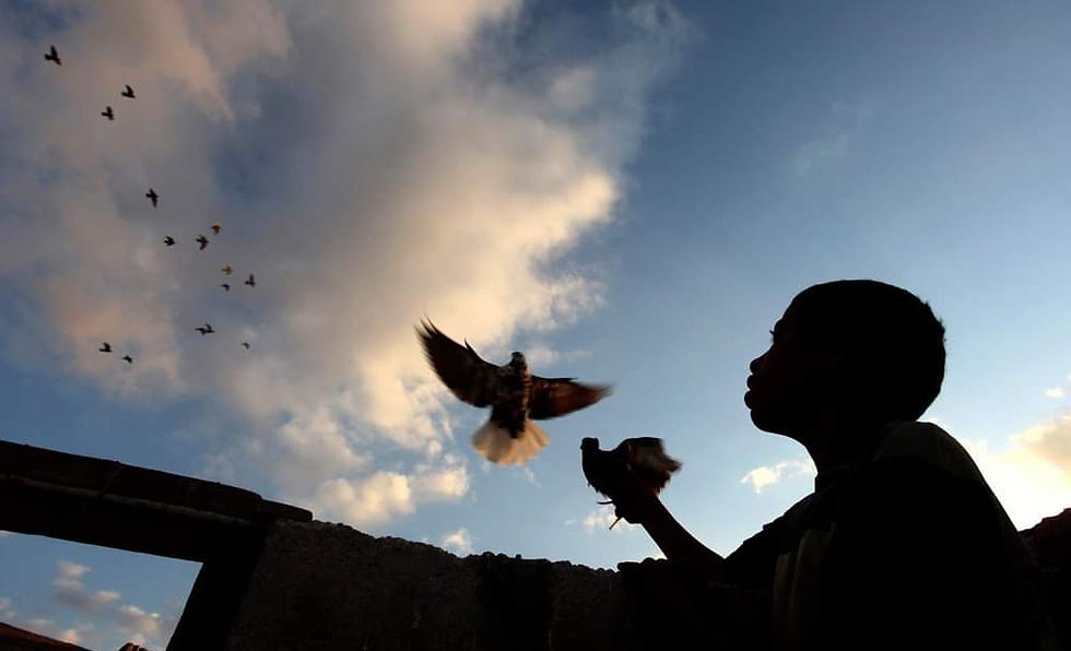 Mohammad Hannon, CC BY-SA 4.0, via Wikimedia Commons