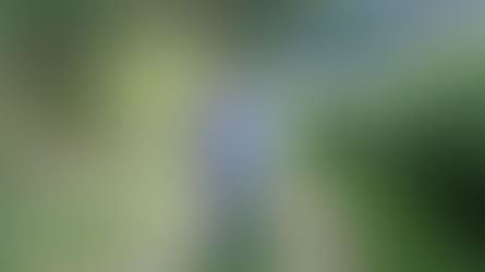 Il diritto dei bambini alla salute e all'istruzione: il caso Palmoli