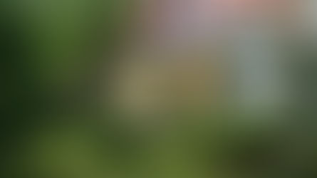 Hölderlin e una vita che non si può controllare né padroneggiare, ma soltanto accogliere.