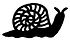 A handrawn snail in black ink