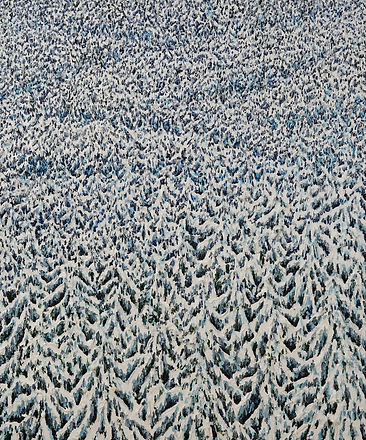 16 Winter 14 Oel auf Leinwand 120x100cm.