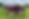198668082_3094822584083052_2484790354541457789_n_edited.png