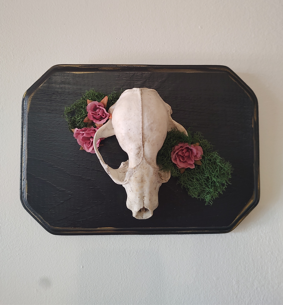 Wit and Whim's Oddities Market