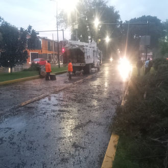 Puebla activa protocolo de seguridad por lluvias: seis árboles caídos y monitoreo en vasos reguladores