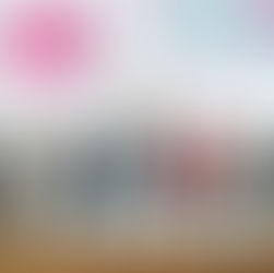 Gobierno Municipal Colabora con la Cumbre Internacional del Hábitat para una Ciudad Inclusiva