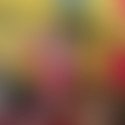 Gobierno Municipal Promueve la Cultura Oaxaqueña con Guelaguetza y Exposición