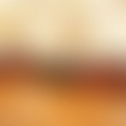 Cabildo de Puebla aprueba concesión de paraderos, estímulos fiscales y celebra Día de la Mujer Trabajadora