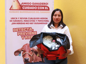 Coordinación internacional en Puebla para frenar avance del gusano barrenador