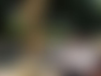 Pepe Chedraui inaugura monumental exposición “Viajando con Timoteo” en el Zócalo