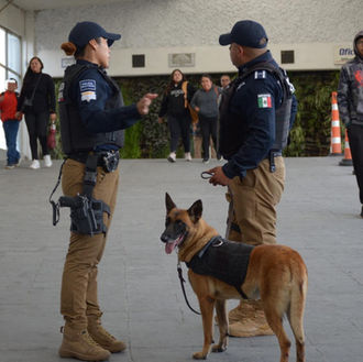 Unidad Canina K9 refuerza seguridad en Puebla con decomisos y operativos estratégicos