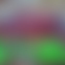 Pepe Chedraui festeja a los niños con masiva activación deportiva en el corazón de Puebla