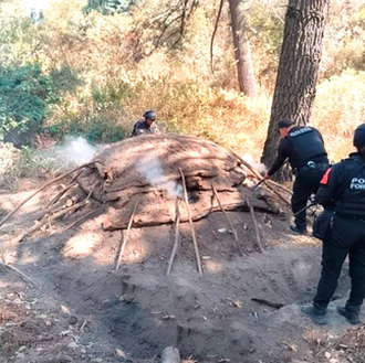 Estrategia Forestal de Alejandro Armenta frena procesamiento ilegal de madera