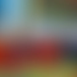 Pepe Chedraui y el OOSL despliegan operativo de desazolve en Puente Negro ante lluvias