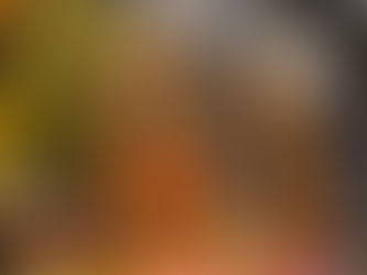 Más de 100 mil personas disfrutaron la ofrenda del Palacio Municipal dedicada a Juan de Palafox y Mendoza