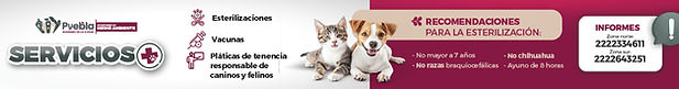 BANNERS_animales_1200X150.jpg.jpeg