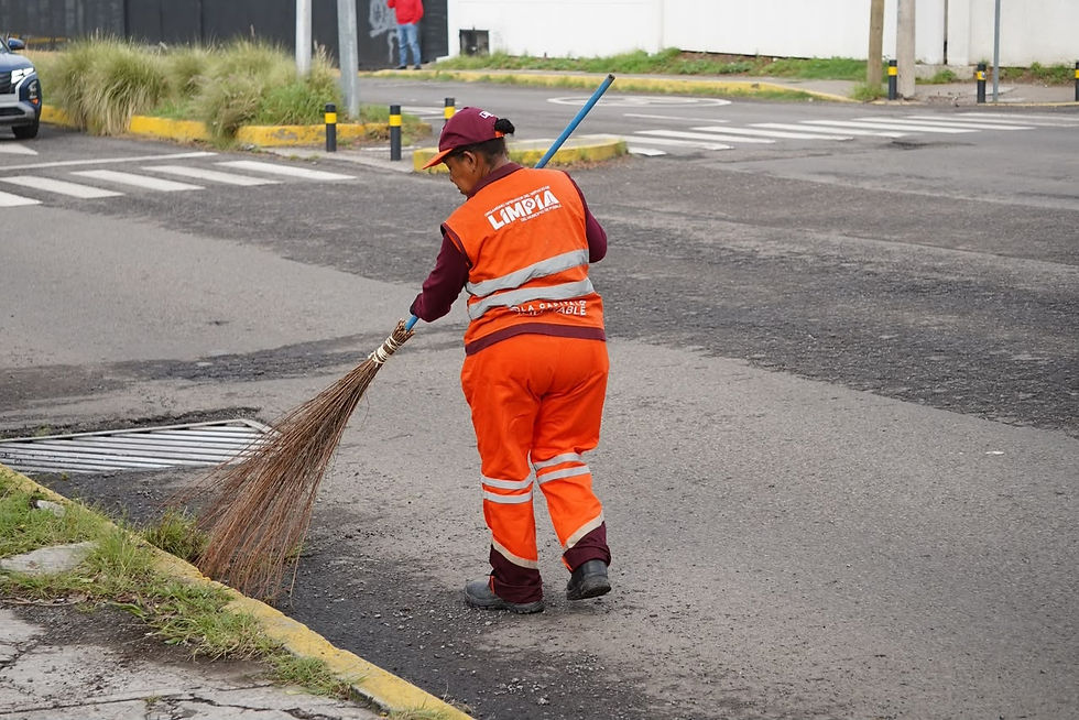 Concluye con éxito jornada integral de remozamiento y chapeo urbano en la zona oriente
