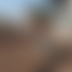 Pepe Chedraui dignifica San Baltazar Campeche con rehabilitación integral de la calle Ejido