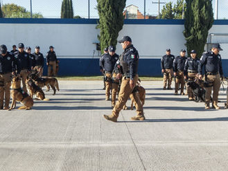 Graduación de cadetes fortalece seguridad y prevención del delito en Puebla capital