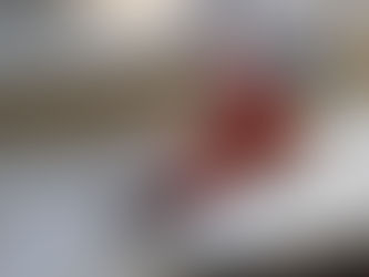 Gobierno de Puebla capital refuerza seguridad del OOSL con formación especializada en trabajos en altura