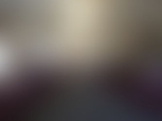 Consejo de Seguridad Pública prioriza la confianza y acción