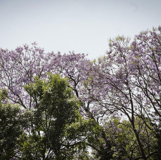 Puebla en Alerta por Calor Extremo: Siga las Recomendaciones de Protección Civil