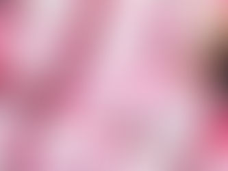MariElise Budib y Pepe Chedraui entregan apoyos funcionales gratuitos en San Baltazar Campeche